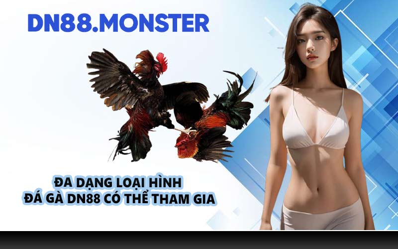 Đa dạng loại hình đá gà DN88 có thể tham gia