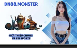 Giới thiệu chung về BTi Sports