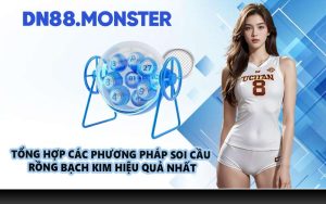 Tổng hợp các phương pháp soi cầu Rồng Bạch Kim hiệu quả nhất